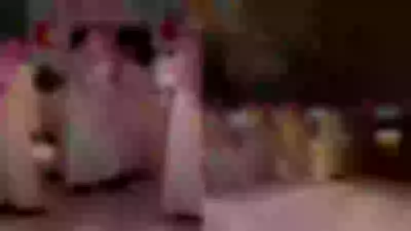 "فيديو: حشود المصلين تتوافد لوداع الأمير الراحل بدر بن عبدالمحسن بكل تأثير وعاطفة"