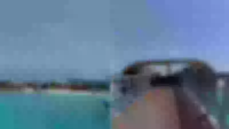 استمتع بجمال الطبيعة في جزر البحر الأحمر من خلال هذا الفيديو الساحر