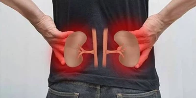 7 أسرار بسيطة تحافظ على صحة الكليتين.. تعرف عليها