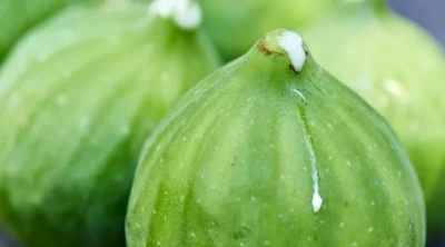 هل سمعت عن حليب التين؟ ستصاب بالصدمة لاكتشافك المتأخر لأهم 8 فوائد له لا تقدر بثمن !!