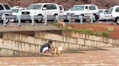 فيديو: بطولة شاب ينقذ كلبًا من سيول حائل!