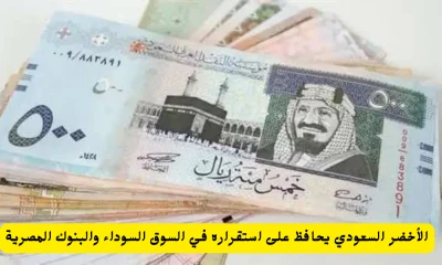 ارتفاع قياسي للريال السعودي مقابل الجنيه المصري: كيف ستتأثر الأسواق في مصر؟