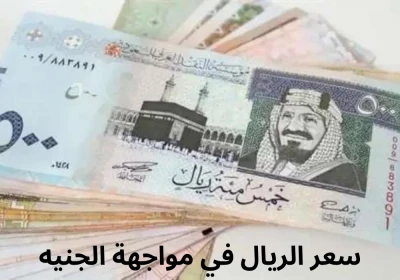 "هبوط مفاجئ للريال السعودي أمام الجنيه المصري: ما هو سعر الصرف الجديد اليوم؟"