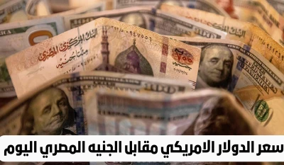انهيار الدولار مجددًا! تعرف على آخر تحديث لأسعار الدولار الأمريكي مقابل الجنيه المصري في السوق السوداء اليوم