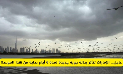 تحذيرات مهمة: الإمارات تحت تأثير حالة جوية قاسية لمدة 6 أيام، تعرف على التفاصيل والتوقعات!