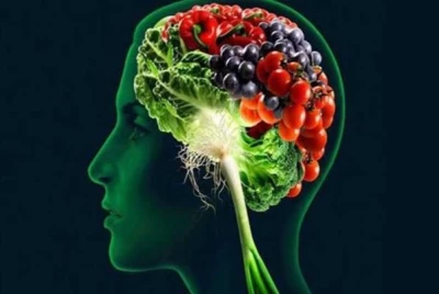 اكتشف سر القوة والنشاط: غذاء يعزز الذاكرة ويحسن من وظائف المخ!