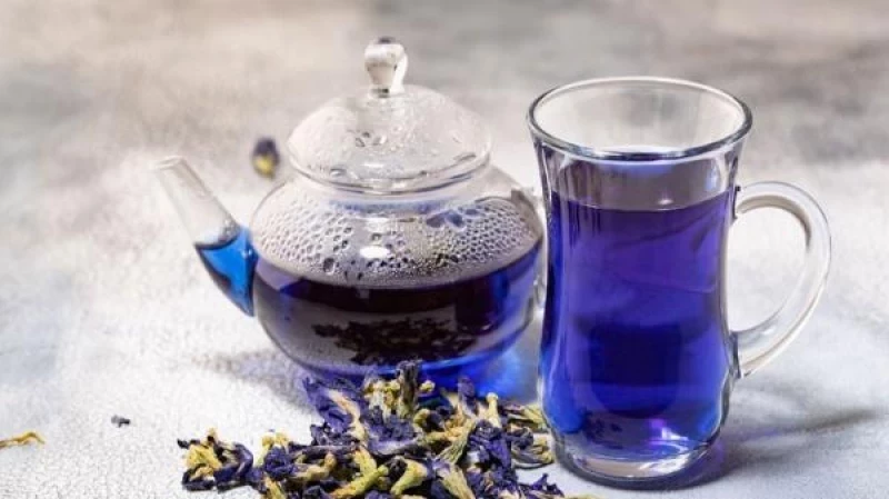الشاي الأزرق.. كنز يجهله الكثيرين لها العديد من الفوائد الصحية المذهلة وهذه أبرزها