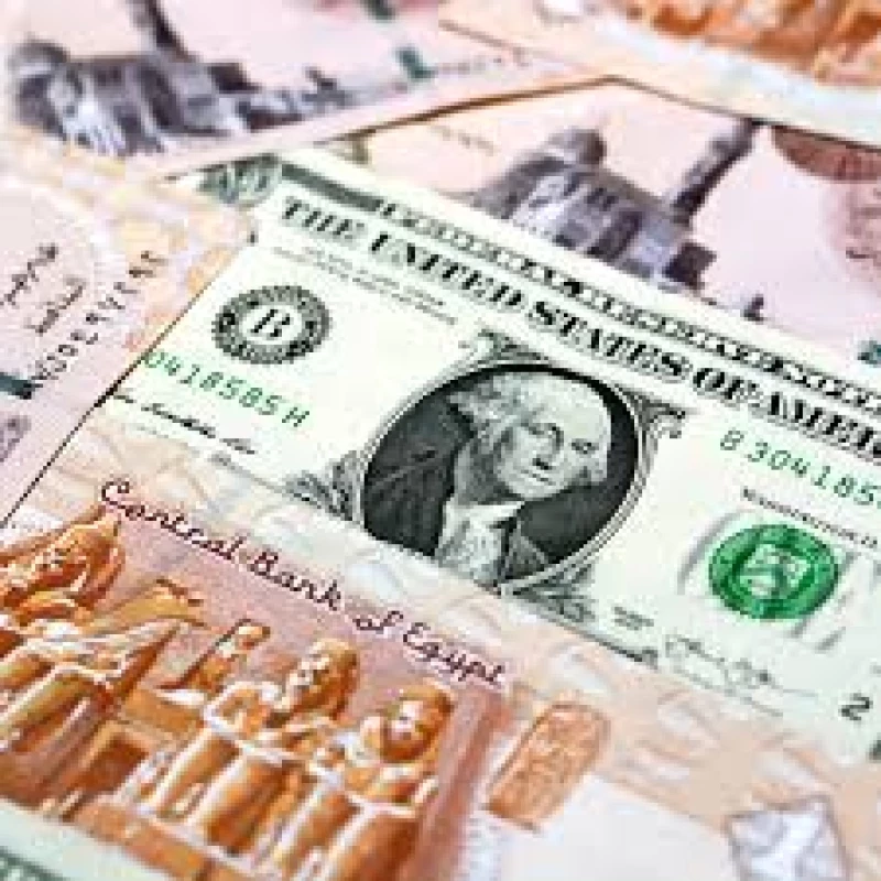 البنوك المصرية تفاجئ المصريين بأسعار صرف الدولار الأمريكي مقابل الجنيه اليوم وتفرح جميع المواطنين