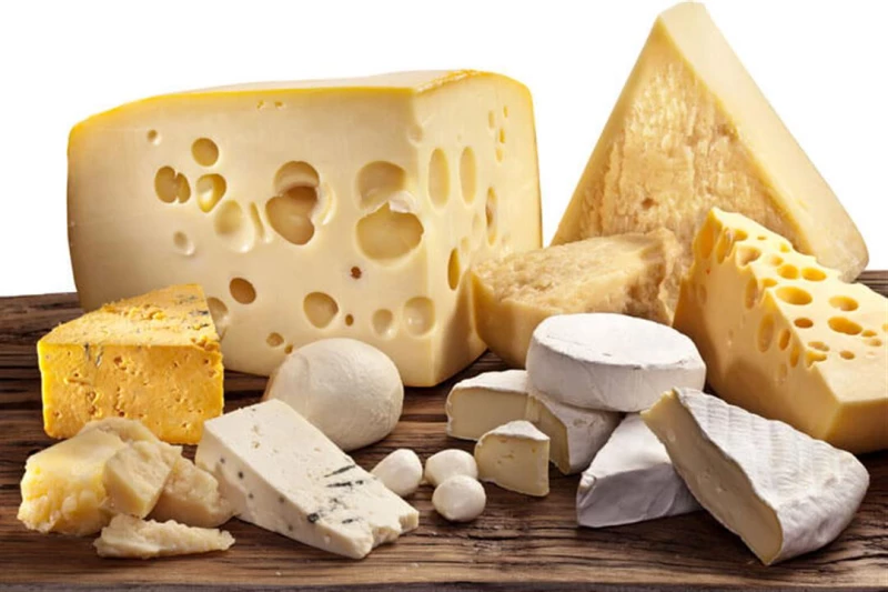 "الجبنة القاتلة: الخطر الذي يكمن في مطبخك، اكتشف أخطر أنواع الجبن في العالم وتخلص منها قبل فوات الأوان!"