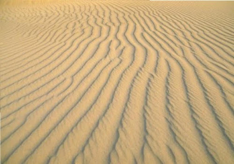 جريمة مروعة تهز صحراء السعودية .. زوج يختبئ في أحضان الرمال ويكشف تفاصيل صادمة