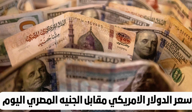 "انهيار جديد للدولار .. كل ما تريد معرفته عن أحدث تحديث في سعر الدولار الأمريكي مقابل الجنيه المصري في السوق السوداء اليوم"