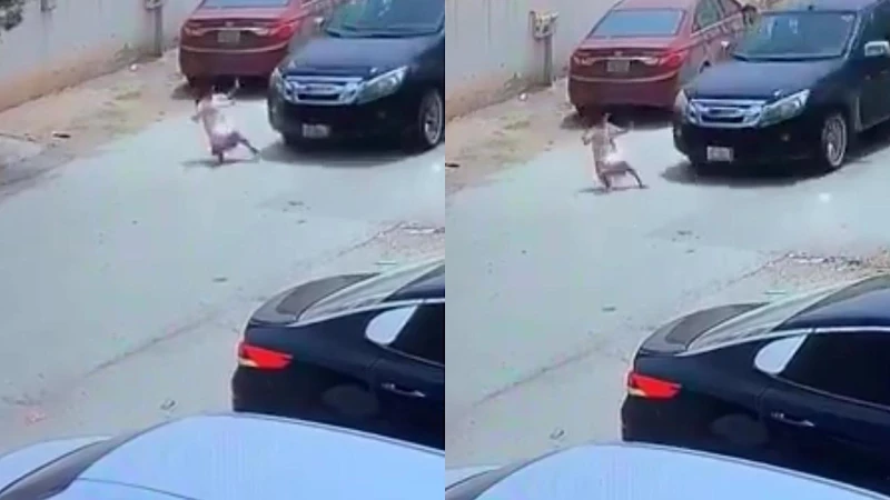 فيديو: طفلة تنجو بأعجوبة من حادث دهس مروّع!