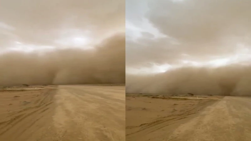فيديو: موجة غبارية كثيفة تجتاح جازان بقوة وتثير الرعب